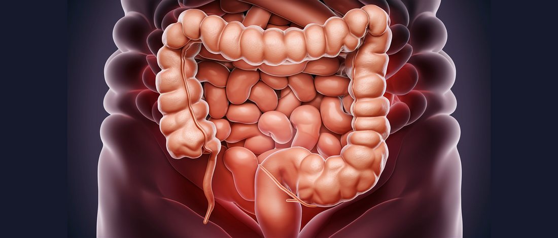 Ozone Colon Insuﬄation Therapy