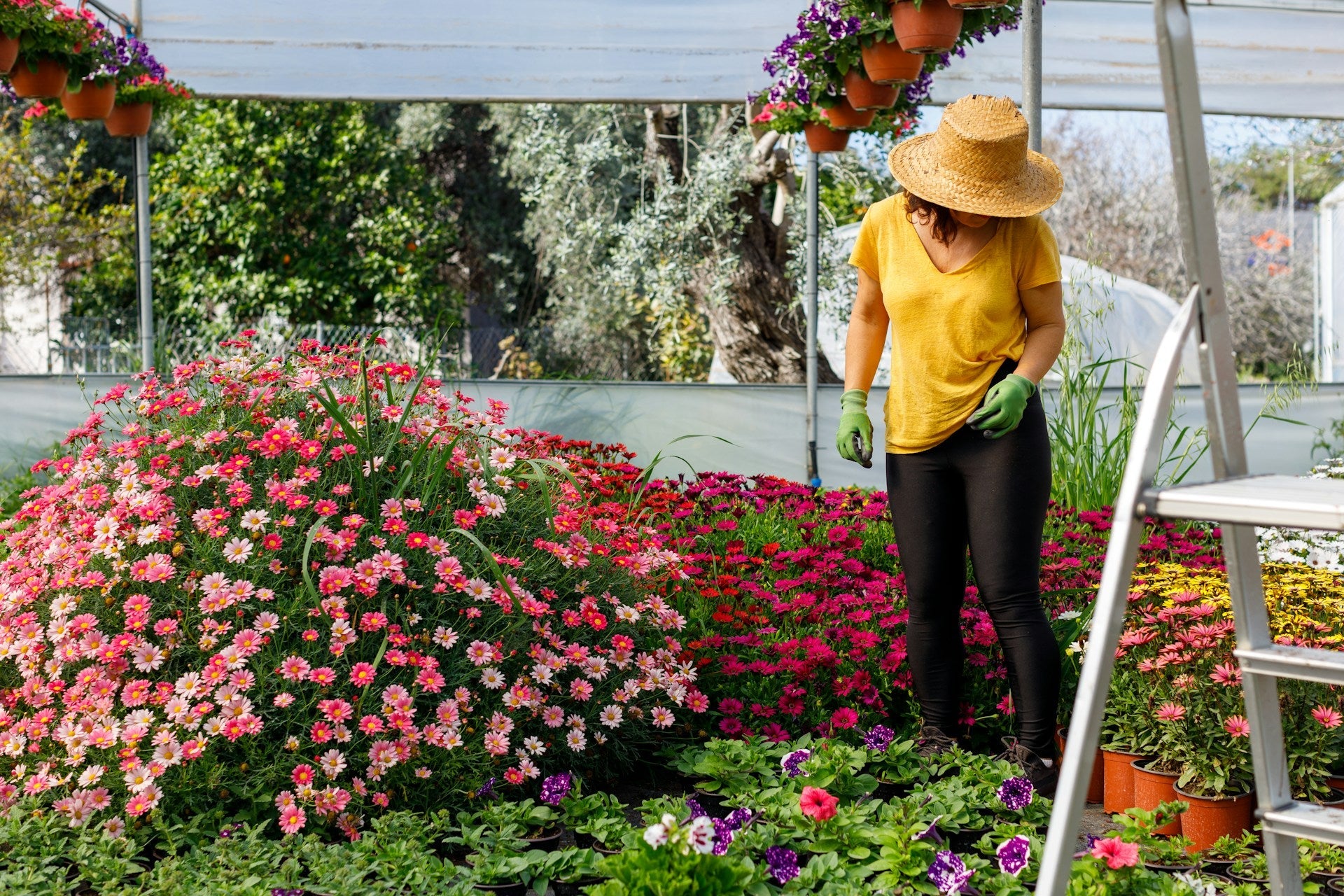 gardening
